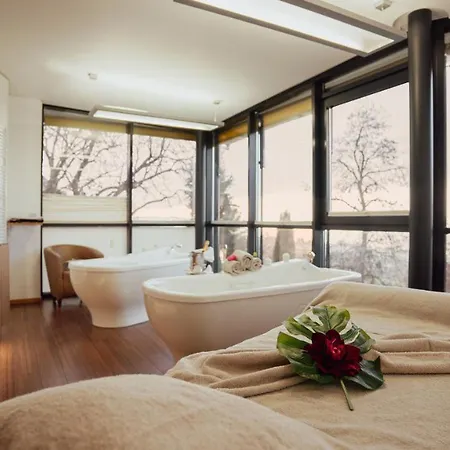 Parkhotel St.leonhard Uberlingen
