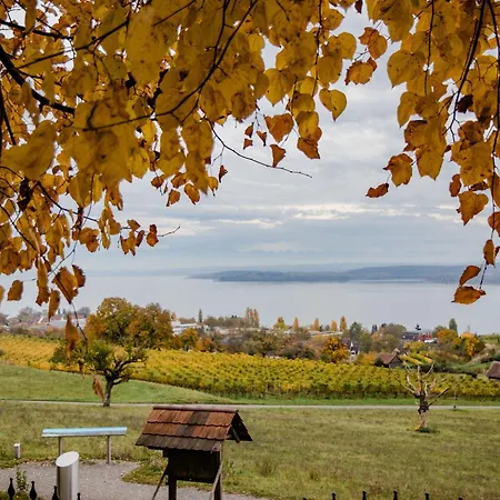 斯特罗哈瑞德酒店