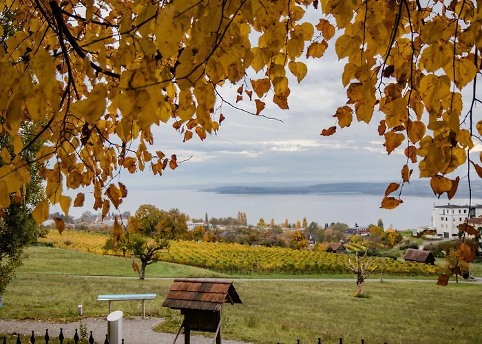 斯特罗哈瑞德酒店