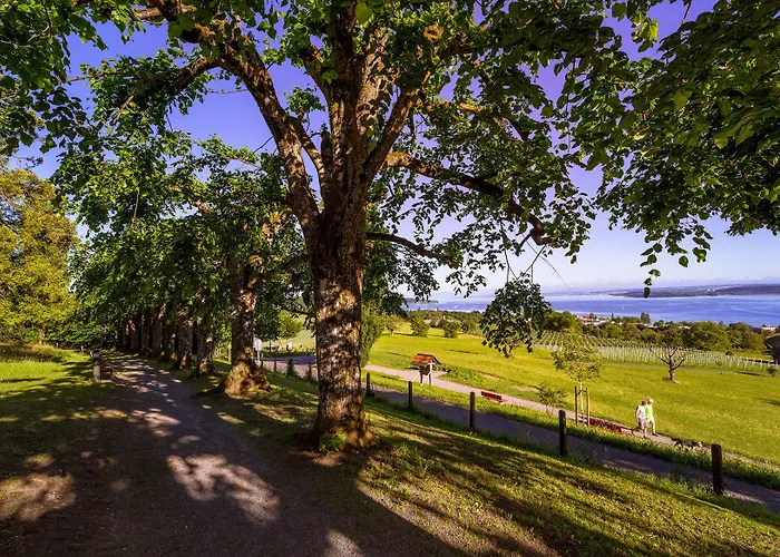 斯特罗哈瑞德酒店