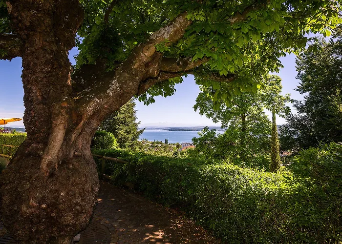 斯特罗哈瑞德酒店 于伯林根