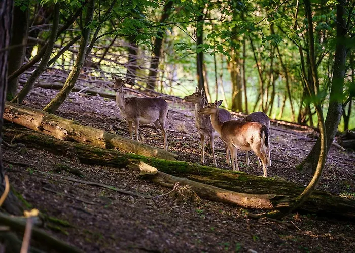 酒店 斯特罗哈瑞德酒店