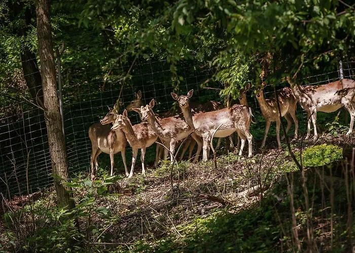 Parkhotel St.leonhard 4*